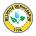 Belediye Derincespor