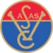 Vasas