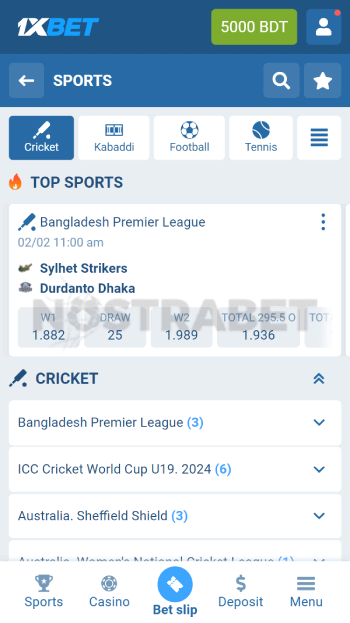 1xbet cricket betting