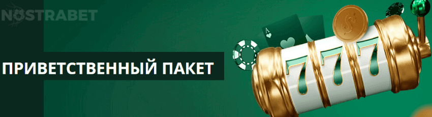 приветственное предложение казино betwinner