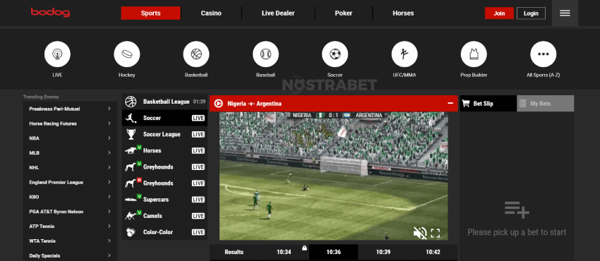 Bodog Virtual Sports